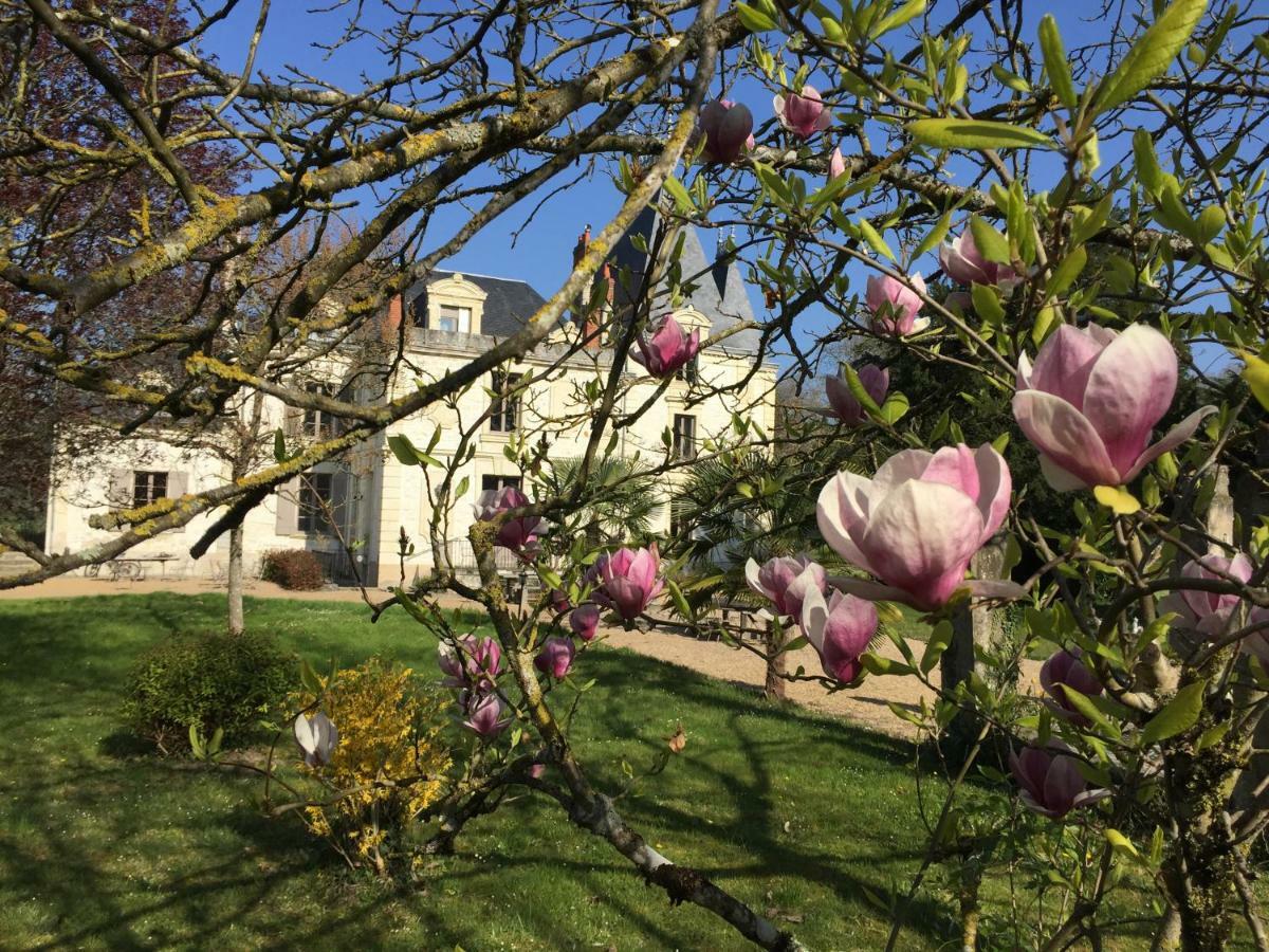 Chateau De La Coutanciere Hotel Brain-sur-Allonnes Exterior photo