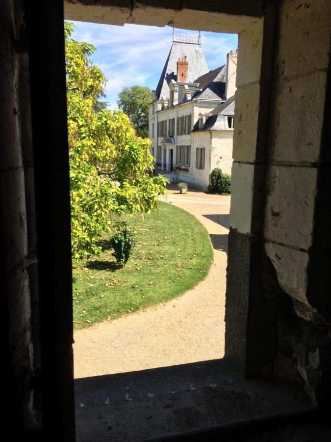 Chateau De La Coutanciere Hotel Brain-sur-Allonnes Exterior photo